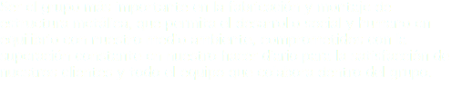 Ser el grupo más importante en la fabricación y montaje de estructura metálica, que permita el desarrollo social y humano en equilibrio con nuestro medio ambiente, comprometidos con la superación constante en nuestro hacer diario para la satisfacción de nuestros clientes y todo el equipo que colabora dentro del grupo.
