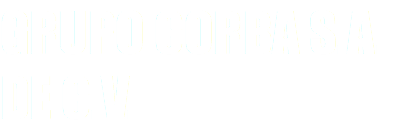 GRUPO CORBA S.A. DE C.V.