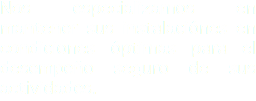 Nos especializamos en mantener sus instalaciónes en condiciones óptimas para el desempeño seguro de sus actividades.