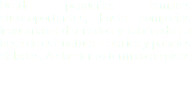Desde pequeñas camaras autosoportantes, hasta complejos industriales diseñados y fabricados a base de estructura metalica y paneles aislados. Aislamiento termico de pisos